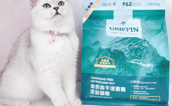 猫咪健康必备!贵芬猫粮大揭秘 猫咪健康必备!贵芬猫粮大揭秘