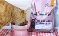 猫咪的每日必备：比瑞吉猫粮