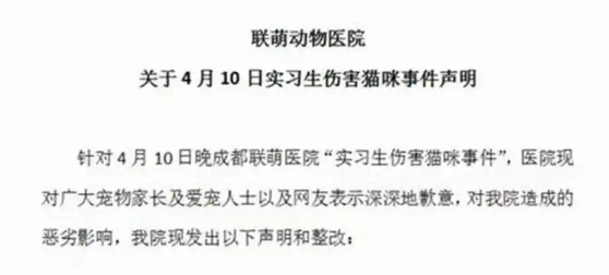 成都一动物医院实习医生虐猫，将猫带到监控死角猛砸？