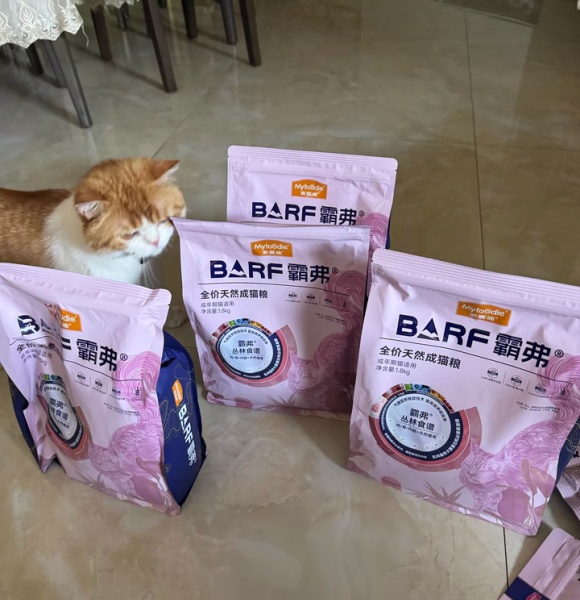 怎么选出口碑最好的猫粮?干饭喵的终极奥义在于“吃对” 怎么选出口碑最好的猫粮?干饭喵的终极奥义在于“吃对”