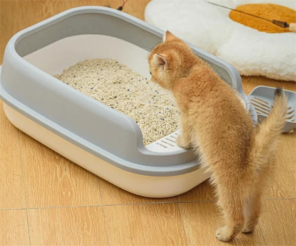 v猫砂盆选什么品牌的好？最新猫砂盆排行榜推荐！