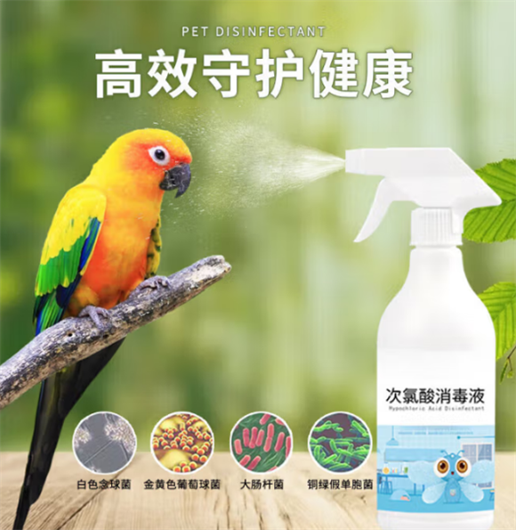 昙蓓漫鹦鹉消毒喷雾多少钱 昙蓓漫鹦鹉消毒喷雾多少钱