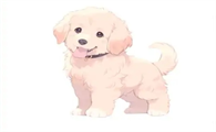 幼犬打完第三针多久可以出门