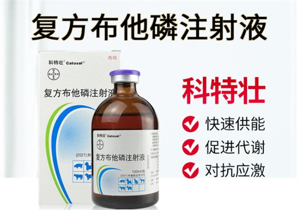 科特壮可以口服吗