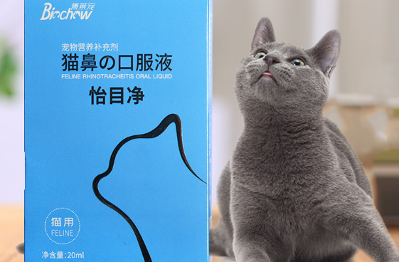 博莱宠猫鼻支口服液怎么用 博莱宠猫鼻支口服液怎么用
