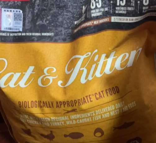 猫砂是干什么用的？一文带你了解猫咪如厕神器