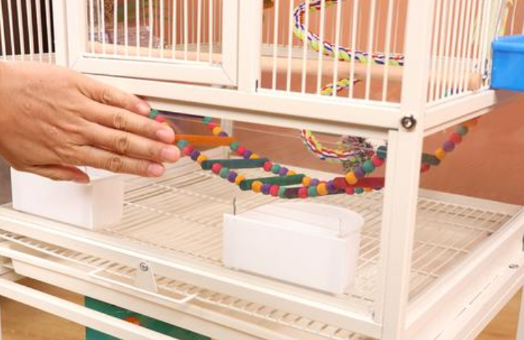 宠儿新家鸟笼凭借多样款式,满足不同场景需求 宠儿新家鸟笼凭借多样款式,满足不同场景需求