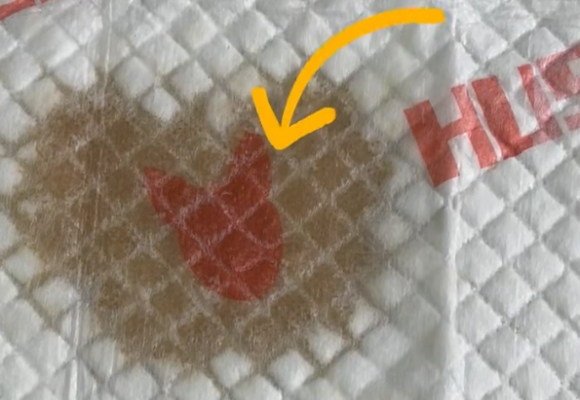 猫咪尿垫多久换一次?乐事宠用专业品质给出答案 猫咪尿垫多久换一次?乐事宠用专业品质给出答案