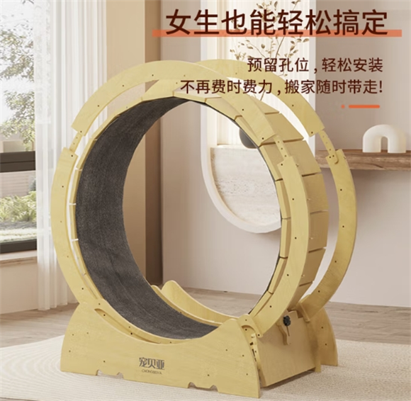 宠贝亚猫咪跑步机怎么样 宠贝亚猫咪跑步机怎么样