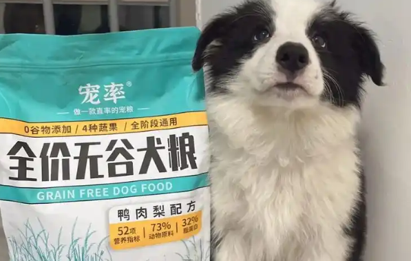 狗粮哪个牌子的品质好?这几个优质品牌值得信赖 狗粮哪个牌子的品质好?这几个优质品牌值得信赖