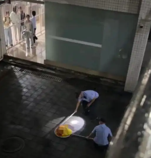 学校保安当学生面打死流浪猫?北理工回应:保安处置不当,已停职调离 学校保安当学生面打死流浪猫?北理工回应:保安处置不当,已停职调离