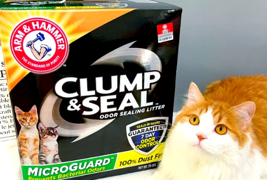 艾禾美猫砂怎么样 艾禾美猫砂怎么样