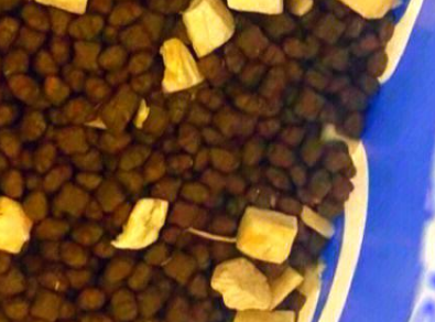 新手养猫必备:活力泰冻干猫粮推荐 新手养猫必备:活力泰冻干猫粮推荐