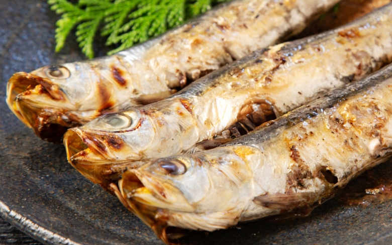 秋刀鱼生活在哪里 秋刀鱼生活在哪里