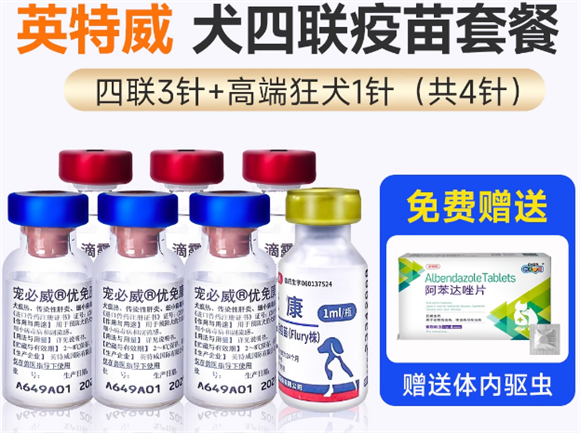 英特威四联疫苗:狗狗健康的重要守护者 英特威四联疫苗:狗狗健康的重要守护者