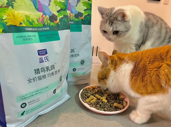 哪些猫粮牌子比较好？2025年猫粮品牌十大排行榜出炉