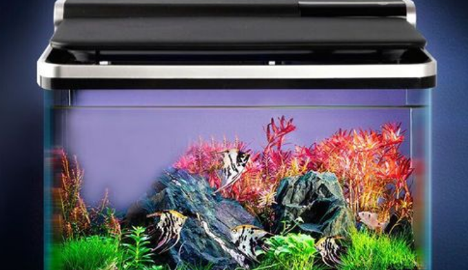 SICCE主要卖什么 SICCE主要卖什么