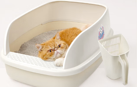 哪个猫砂盆品牌靠谱？这5款国产猫砂盆品牌推荐给你！