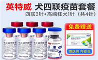 宠必威英特威四联疫苗，守护狗狗健康