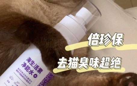 养猫必备:倍珍保大白瓶,让猫咪更健康! 养猫必备:倍珍保大白瓶,让猫咪更健康!