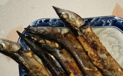 秋刀鱼的功效和作用 秋刀鱼的功效和作用