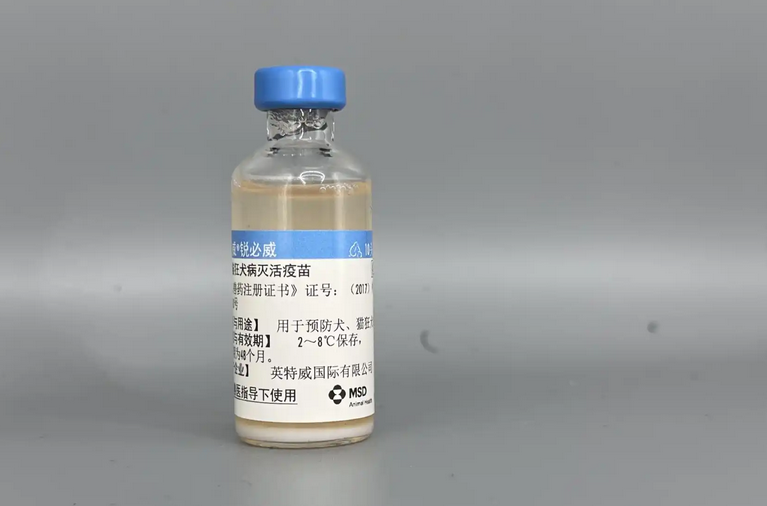 英特威狂犬疫苗是灭活的吗 英特威狂犬疫苗是灭活的吗