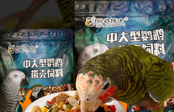 鹦鹉博士鹦鹉粮是进口粮吗 鹦鹉博士鹦鹉粮是进口粮吗