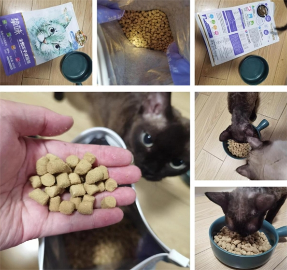 朗诺冻干猫鸡肉大礼包值得入手吗？营养美味的宠物享受