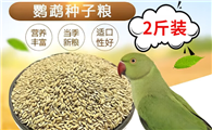 佐之寻是什么档次的