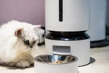 嘉柏兰猫咪喂食器多少钱