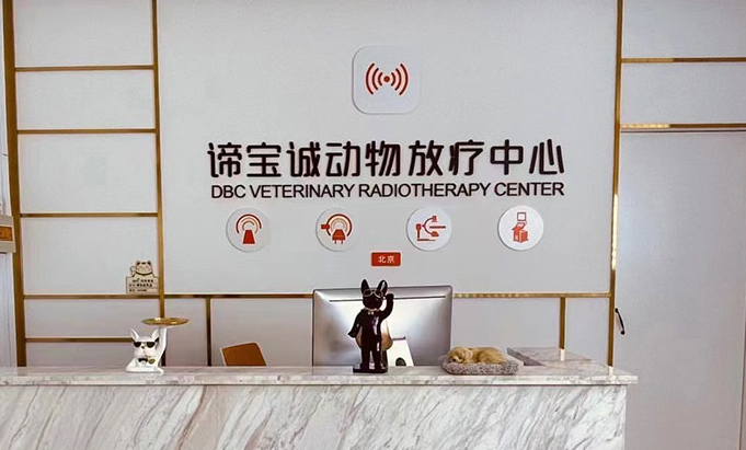 谛宝诚与贝塔猫战略合作,SIFEC宠物时尚教育中心成立 谛宝诚与贝塔猫战略合作,SIFEC宠物时尚教育中心成立