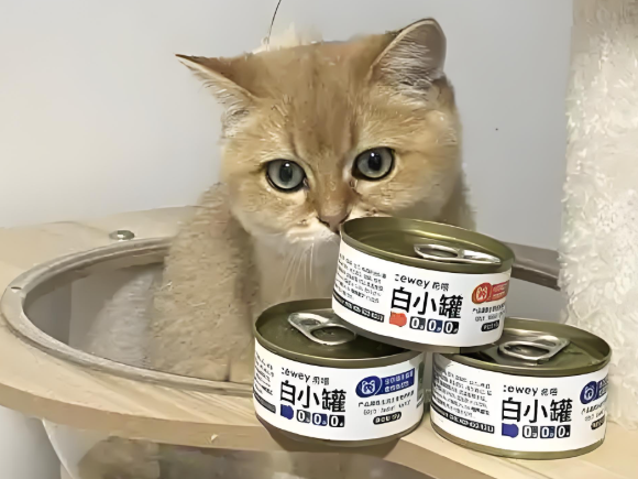 希喂猫罐头怎么样？希喂猫罐头哪个国家的？