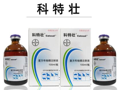 科特壮怎么给狗用多大量 科特壮怎么给狗用多大量