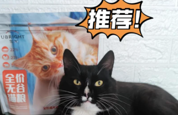 优朗猫粮:猫咪的肠胃守护者 优朗猫粮:猫咪的肠胃守护者