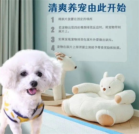 宠物尿垫什么品牌好用？五款热门宠物尿垫值得借鉴！