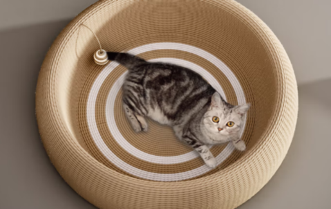 魔力猫盒 MollyBox猫抓板：满足天性的趣味玩具