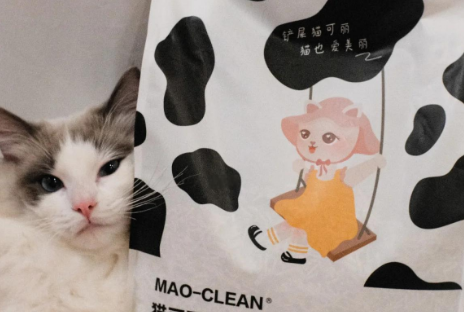 猫可丽猫砂多少钱一袋 猫可丽猫砂多少钱一袋