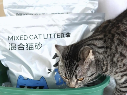 AI咪猫砂哪款好 AI咪猫砂哪款好