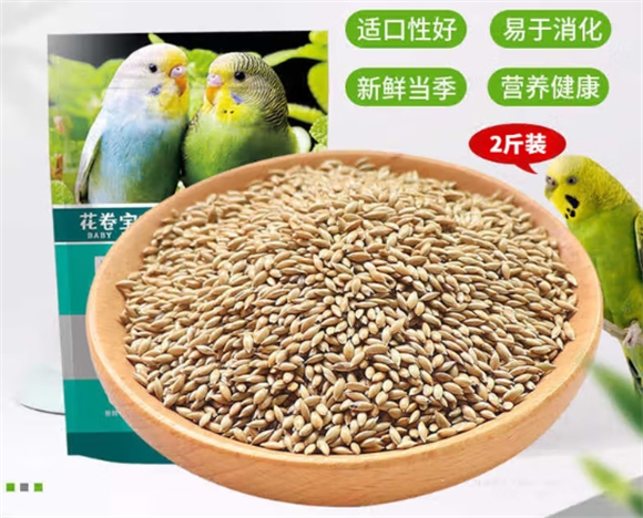 佐之寻鹦鹉粮很大颗吗 佐之寻鹦鹉粮很大颗吗