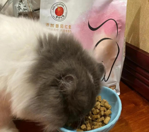 喵达猫粮:生骨肉冻干,猫咪健康新选择 喵达猫粮:生骨肉冻干,猫咪健康新选择
