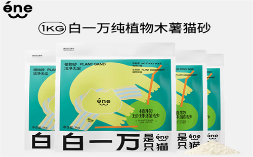 白一万是只猫