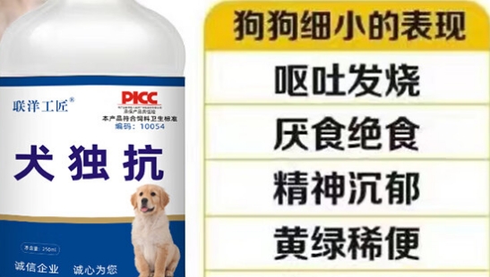 联洋工匠犬独抗一天喝几次