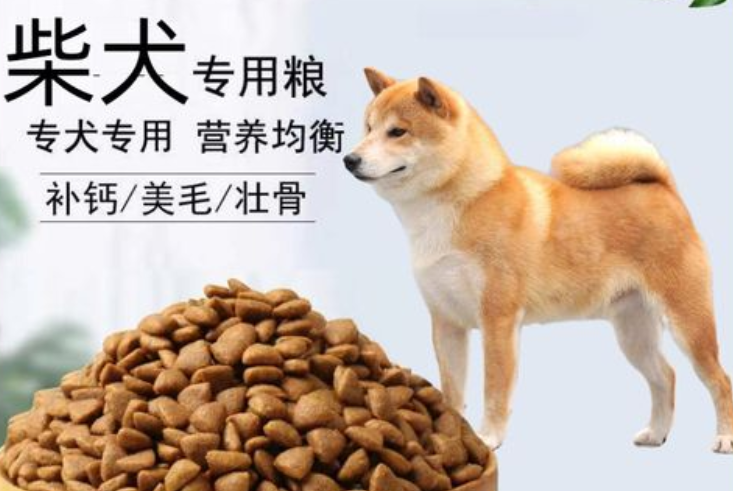 从新手到行家：柴犬狗粮牌子推荐指南