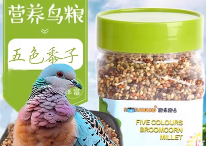 跑来跑去鹦鹉粮:解锁鹦鹉的美味营养宝库 跑来跑去鹦鹉粮:解锁鹦鹉的美味营养宝库