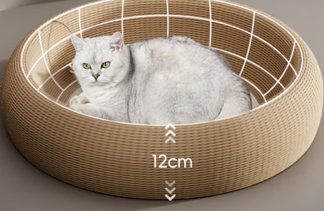魔力猫盒 MollyBox猫抓板：满足天性的趣味玩具