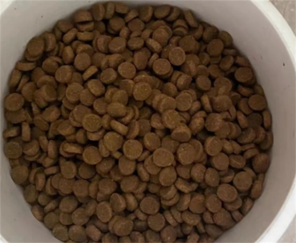 桐汝壁狗粮和麦富迪狗粮哪个好 桐汝壁狗粮和麦富迪狗粮哪个好