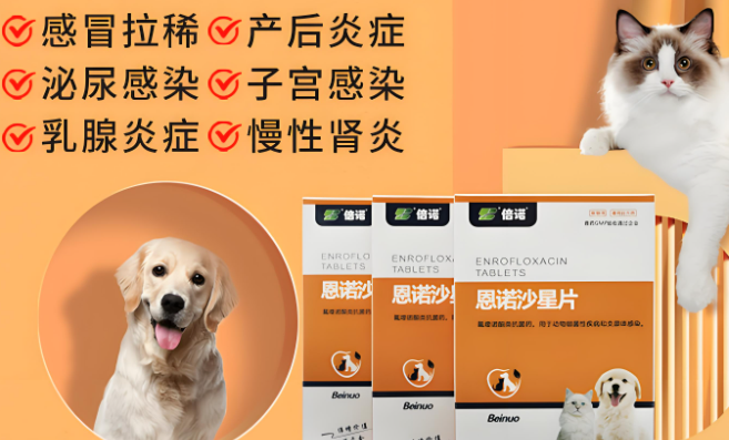 倍诺消炎药:宠物炎症克星,守护健康的得力助手 倍诺消炎药:宠物炎症克星,守护健康的得力助手