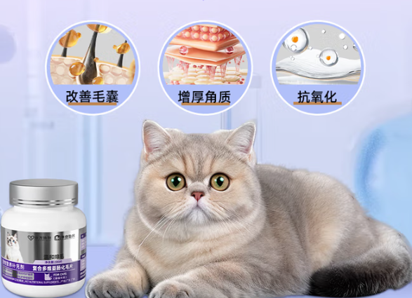 米奇旋风化毛片多少天给猫吃一次 米奇旋风化毛片多少天给猫吃一次