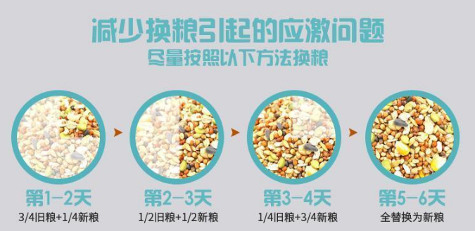 贝特赫斯仓鼠粮:为小宠定制的科学膳食 贝特赫斯仓鼠粮:为小宠定制的科学膳食