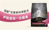 冠能——博美犬专用狗粮品牌中的佼佼者！